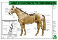 Abbildung von: Lage erkennbarer Veränderungen - FN Verlag