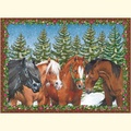 Cover: Pferdefreunde - Coppenrath