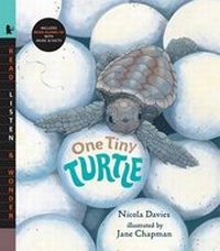 Enlarge image Cover: One Tiny Turtle with Audio - Candlewick Press,U.S.