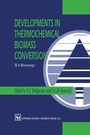 Cover: Developments in Thermochemical Biomass Conversion - Chapman and Hall