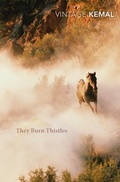 Cover: They Burn Thistles - Vintage Digital