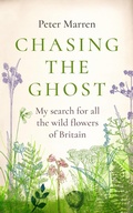 Cover: Chasing the Ghost - Vintage Digital