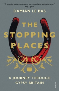 Enlarge image Cover: The Stopping Places - Vintage Digital