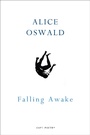 Cover: Falling Awake - Vintage Digital