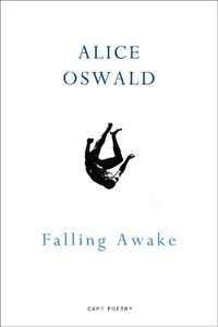 Enlarge image Cover: Falling Awake - Vintage Digital