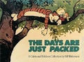Cover: The Days Are Just Packed - Sphere