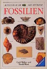 Enlarge image Cover: Fossilien - Ravensburger