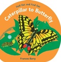 Cover: Caterpillar to Butterfly: Fold Out and Find Out - Candlewick Press,U.S.