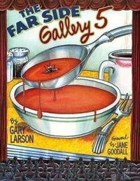 Enlarge image Cover: Far Side Gallery 5 - Sphere