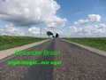 Cover: Legal - illegal... Mir egal - Brandenburg-Buch 2015