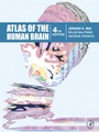 Cover: Atlas of the Human Brain - Academic Press