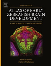 Abbildung von: Atlas of Early Zebrafish Brain Development - Elsevier