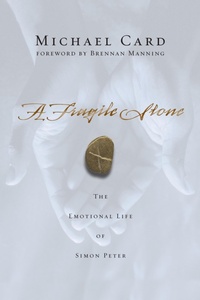 Enlarge image Cover: A Fragile Stone - IVP