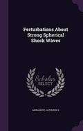 Cover: Perturbations About Strong Spherical Shock Waves - Palala Press