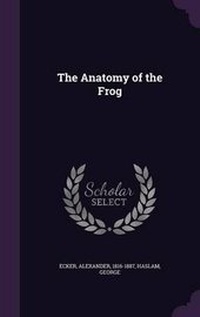 Enlarge image Cover: The Anatomy of the Frog - Palala Press