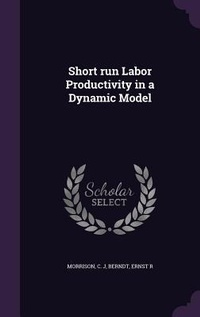 Enlarge image Cover: Short run Labor Productivity in a Dynamic Model - Palala Press