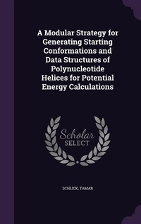 Enlarge image Cover: A Modular Strategy for Generating Starting Conformations and Data Structures of Polynucleotide Helices for Potential Energy Calculations - Palala Press