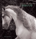 Cover: 2015 Equus Wall Calendar - Pomegranate Communications Inc,US