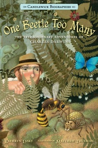 Enlarge image Cover: One Beetle Too Many - Candlewick Press,U.S.