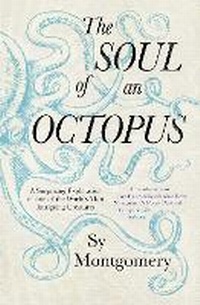 Enlarge image Cover: The Soul of an Octopus - Simon & Schuster Ltd