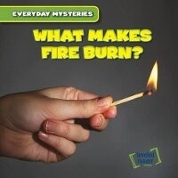 Abbildung von: What Makes Fire Burn? - Gareth Stevens Publishing