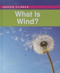 Enlarge image Cover: What Is Wind? - Cavendish Square Publishing