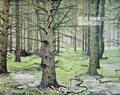 Cover: Helge Hommes - Morgenland - Galerie Raphael