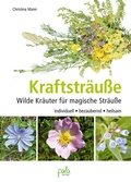 Cover: Kraftstr&auml;u&szlig;e - pala