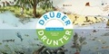 Cover: Dr&uuml;ber & drunter - In der Natur - Gerstenberg