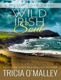 Cover: Wild Irish Soul - Tantor Media, Inc