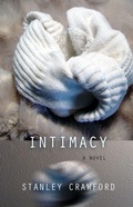 Cover: Intimacy - Fiction Collective Two