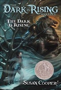 Cover: The Dark Is Rising - Perfection Learning