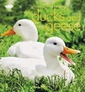 Cover: Choosing and Keeping Ducks and Geese - Gaia Books Ltd