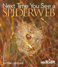 Enlarge image Cover: Next Time You See a Spiderweb - National Science Teachers Association