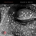 Cover: Picard & Bacot - Confetti Buddha - Tayen Lane Publishing