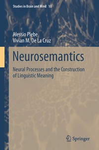 Enlarge image Cover: Neurosemantics - Springer