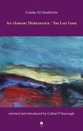 Cover: An Tamharc Deireannach : The Last Look - Arlen House