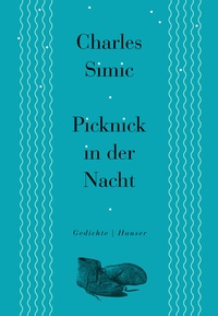 Abbildung von: Picknick in der Nacht - Hanser