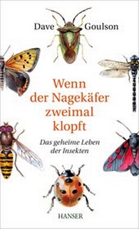 Abbildung von: Wenn der Nagekäfer zweimal klopft - Hanser