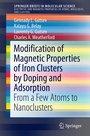 Cover: Modification of Magnetic Properties of Iron Clusters by Doping and Adsorption - Springer