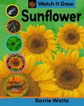 Cover: Sunflower - Franklin Watts Ltd