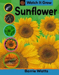 Enlarge image Cover: Sunflower - Franklin Watts Ltd
