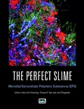 Cover: The Perfect Slime - IWA Publishing