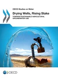 Cover: Drying Wells, Rising Stakes - Towards Sustainable Agricultural Groundwater Use - IWA Publishing