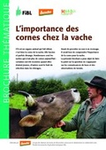 Cover: L'importance des cornes chez la vache - Forschungsinstitut f&uuml;r biologischen Landbau FIBL