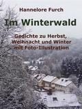 Cover: Im Winterwald - TWENTYSIX