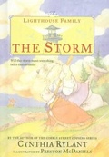 Cover: Storm - Perfection Learning