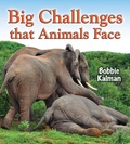 Cover: Big Challenges that Animals Face - Crabtree Publishing Co,US