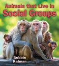 Cover: Animals that Live in Social Groups - Crabtree Publishing Co,US