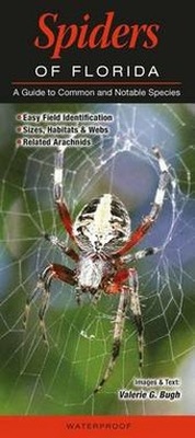 Enlarge image Cover: Spiders of Florida - Quick Reference Publishing, Inc